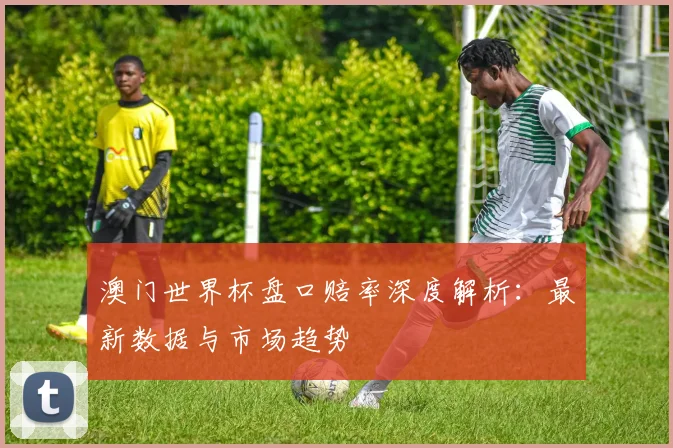 澳门世界杯盘口赔率深度解析：最新数据与市场趋势